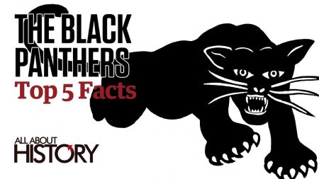 The Black Panthers Top 5 Facts