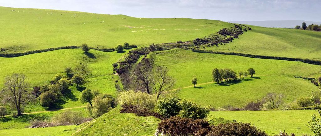 10 Anglo-Saxon churches, walls and monuments to rediscover this summer